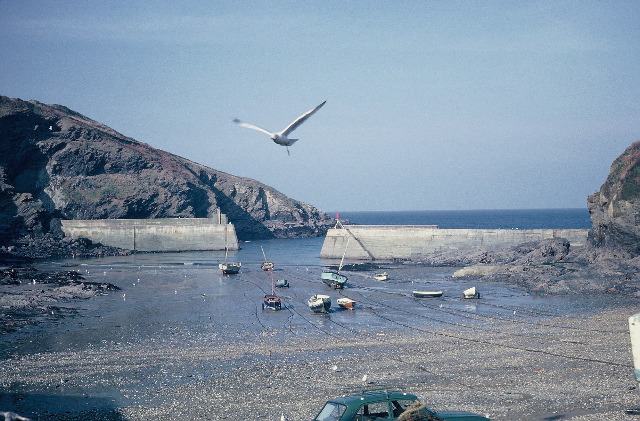 16. The harbour at low tide