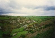 53. The Port Isaac valley at may blossom time